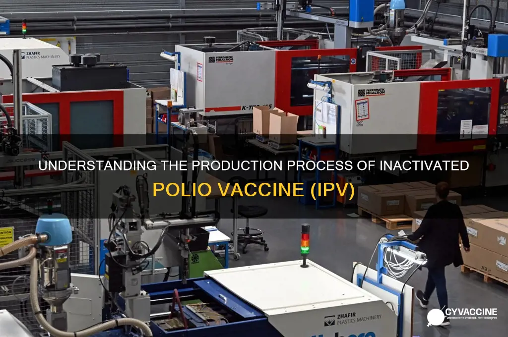 how is inactivated polio vaccine made