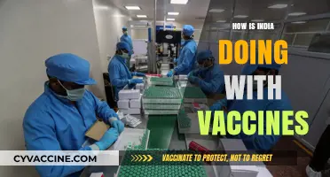 India's Vaccine Progress: Achievements, Challenges, and Future Outlook