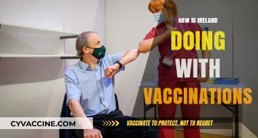 Ireland's Vaccination Progress: Successes, Challenges, and Future Outlook