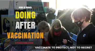Israel's Post-Vaccination Progress: Health, Economy, and Society in Focus