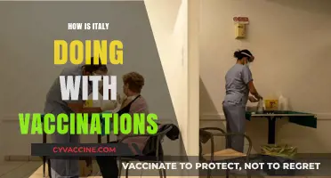 Italy's Vaccination Progress: Successes, Challenges, and Future Outlook