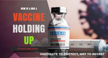 J&J Vaccine Durability: Efficacy and Long-Term Protection Updates