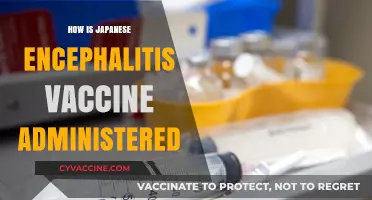 Administering Japanese Encephalitis Vaccine: A Comprehensive Guide for Travelers