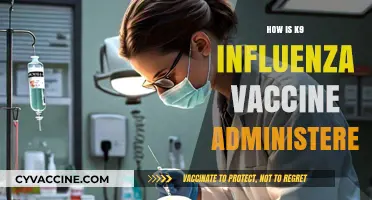 Administering K9 Influenza Vaccine: A Step-by-Step Guide for Pet Owners