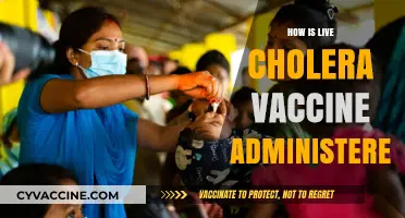 Administering Live Cholera Vaccine: A Step-by-Step Guide for Safe Delivery