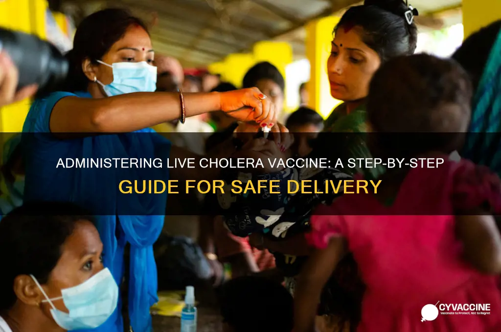 how is live cholera vaccine administered