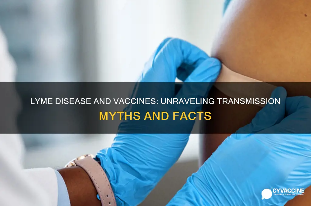 how is lyme transmitted in vaccines