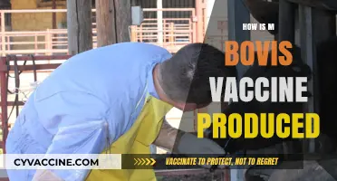 Understanding the Production Process of the M. Bovis Vaccine