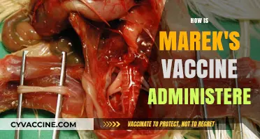 Understanding Marek's Vaccine: Administration Methods and Best Practices Explained