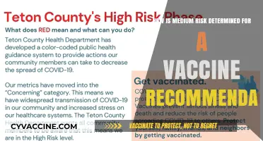 Understanding Medium Risk Determinants in Vaccine Recommendation Processes