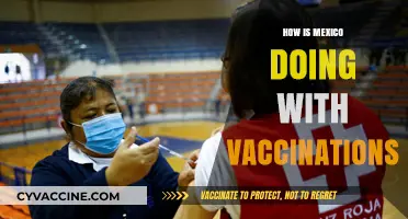 Mexico's Vaccination Progress: Challenges, Successes, and Future Outlook