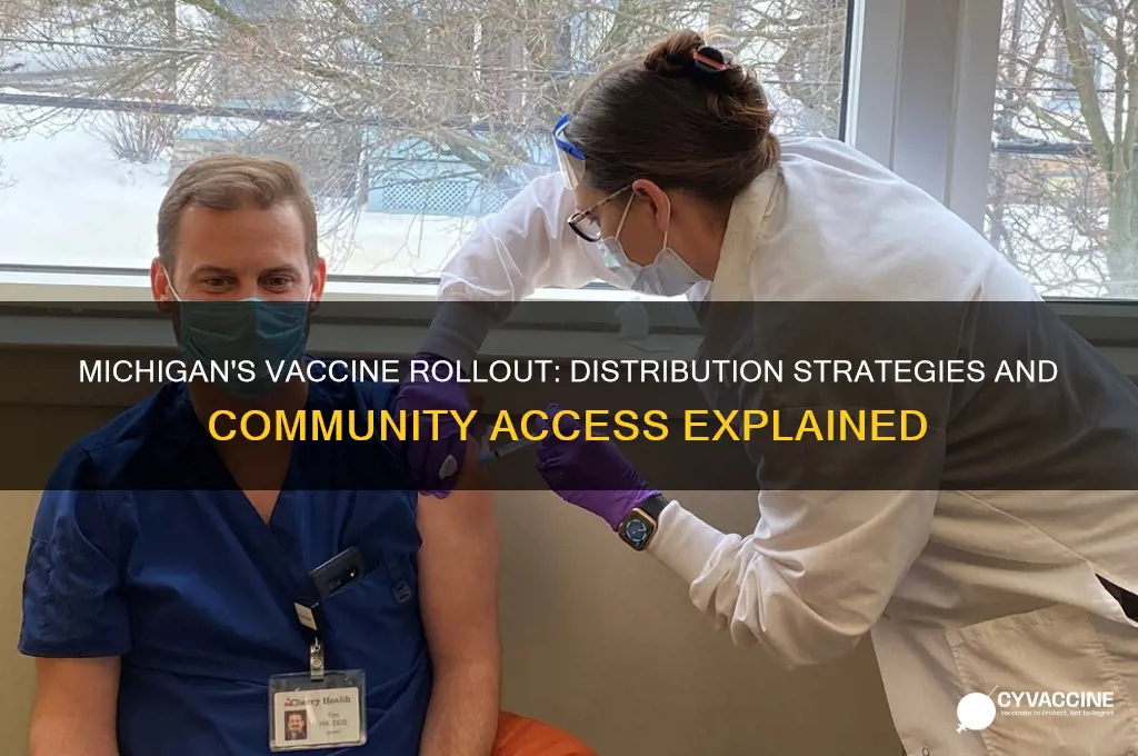 how is michigan distributing the vaccine