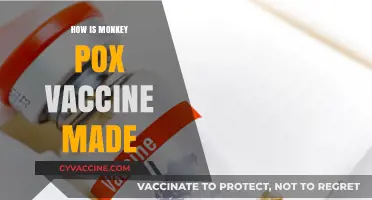 Understanding the Development Process of the Monkeypox Vaccine