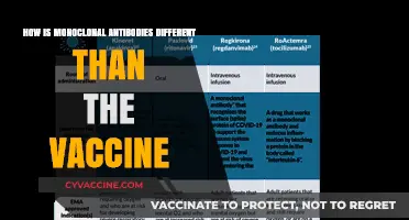 Monoclonal Antibodies vs. Vaccines: Key Differences and Unique Roles