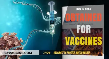 Unlocking mRNA: The Scientific Journey to Vaccine Development