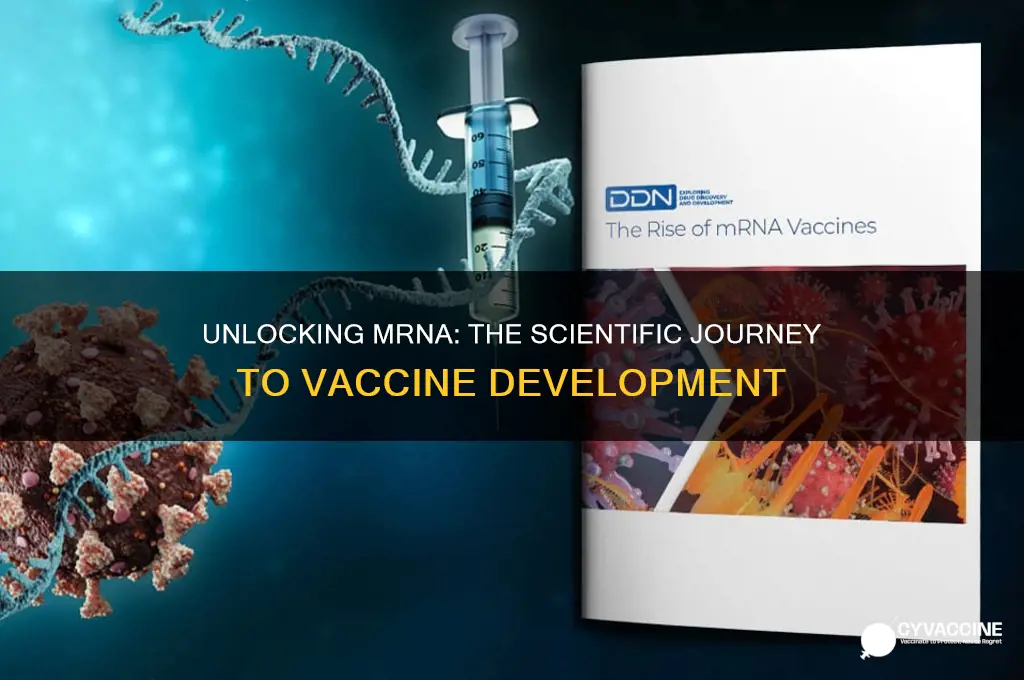 how is mrna obtained for vaccines