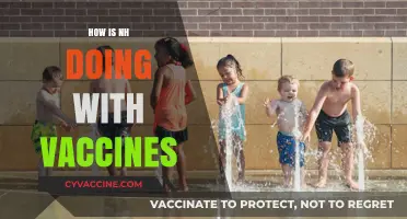 New Hampshire's Vaccine Progress: Successes, Challenges, and Future Outlook