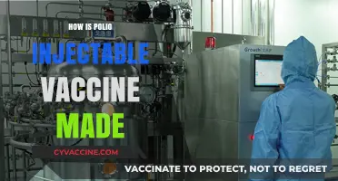 Understanding the Manufacturing Process of Polio Injectable Vaccines