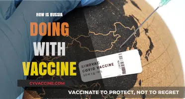 Russia's Vaccine Rollout: Progress, Challenges, and Global Impact