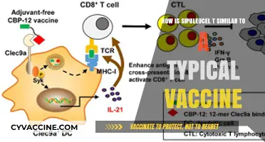 Sipuleucel-T: Unveiling Its Unique Vaccine-Like Mechanism and Functionality