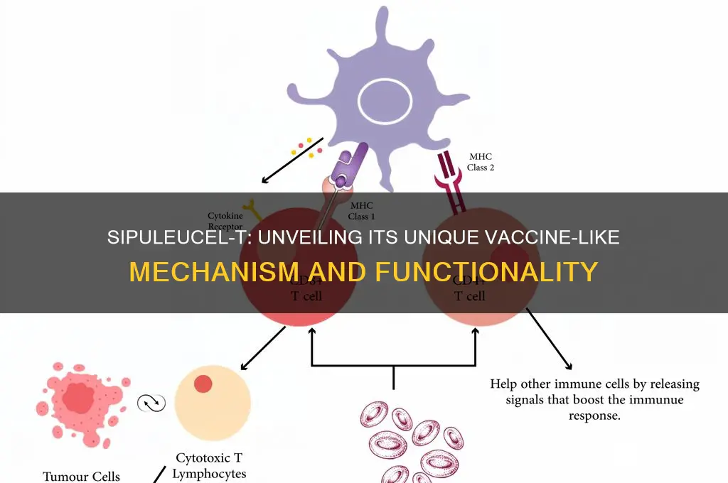 how is sipuleucel t similar to a typical vaccine