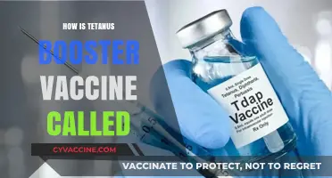 Understanding the Tetanus Booster Vaccine: Names and Essential Information