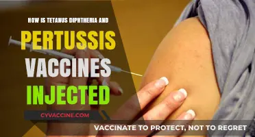 Tetanus, Diphtheria, Pertussis Vaccines: Injection Methods Explained