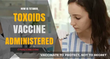 Tetanus Toxoid Vaccine Administration: Methods, Dosage, and Safety Tips