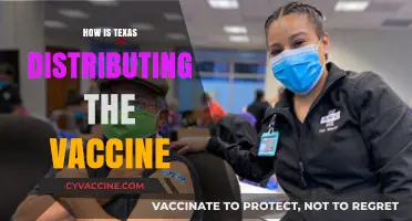 Texas Vaccine Rollout: Distribution Strategies and Community Access Explained