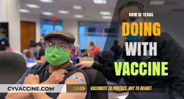 Texas Vaccine Rollout: Progress, Challenges, and Community Impact