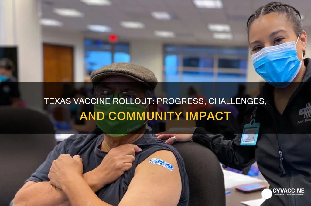 how is texas doing with vaccine