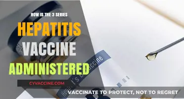 Hepatitis B Vaccine Administration: A Step-by-Step Guide to the 3-Dose Series
