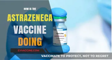 AstraZeneca Vaccine: Global Impact, Safety, and Efficacy Updates 2023