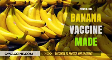 Unveiling the Science Behind Creating the Banana-Based Vaccine