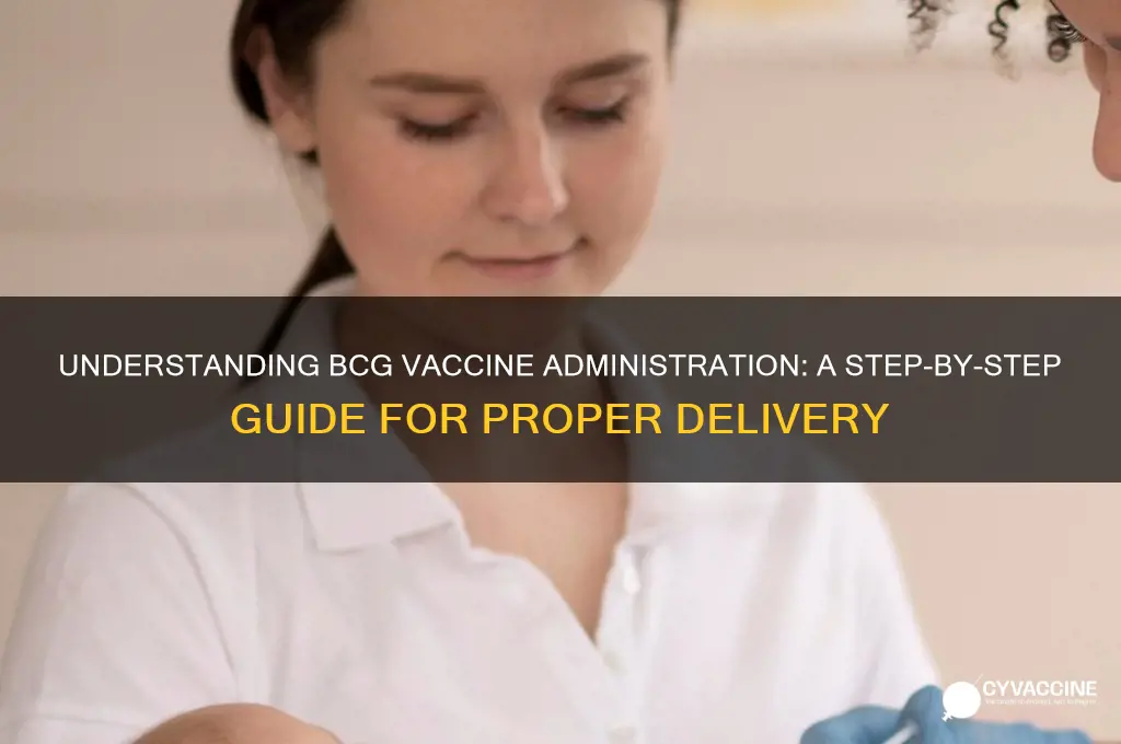 how is the bcg vaccine administered