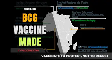The Science Behind BCG Vaccine Production: A Step-by-Step Guide