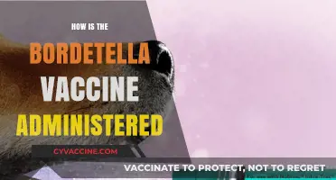 Administering Bordetella Vaccine: Methods, Dosage, and Best Practices Explained