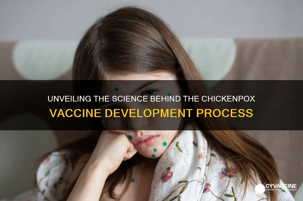 how is the chickenpox vaccine created