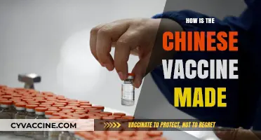 Understanding the Science Behind China's COVID-19 Vaccine Production Process