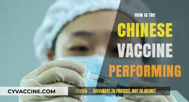 Chinese COVID-19 Vaccines: Global Efficacy, Impact, and Real-World Performance