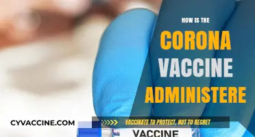 Understanding COVID-19 Vaccine Administration: Methods, Process, and Safety Measures