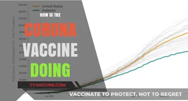 Corona Vaccine Progress: Effectiveness, Distribution, and Global Impact Updates
