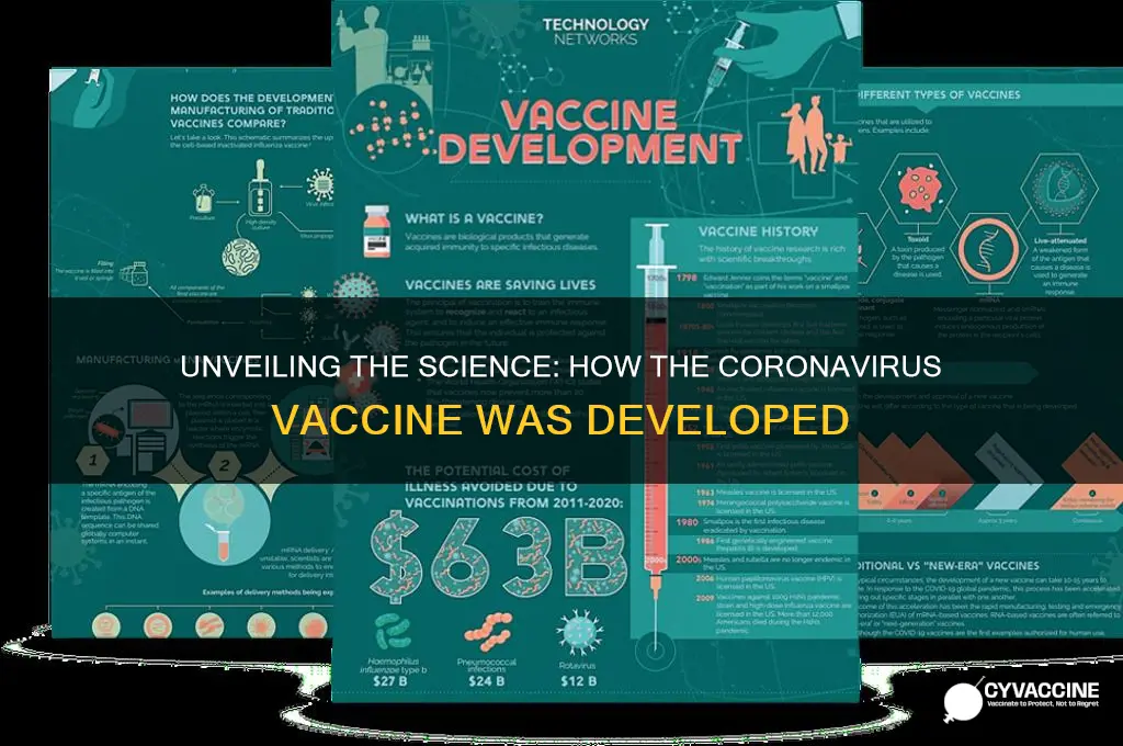 how is the coronavirus vaccine developed