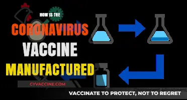 Unveiling the Process: How the Coronavirus Vaccine is Manufactured
