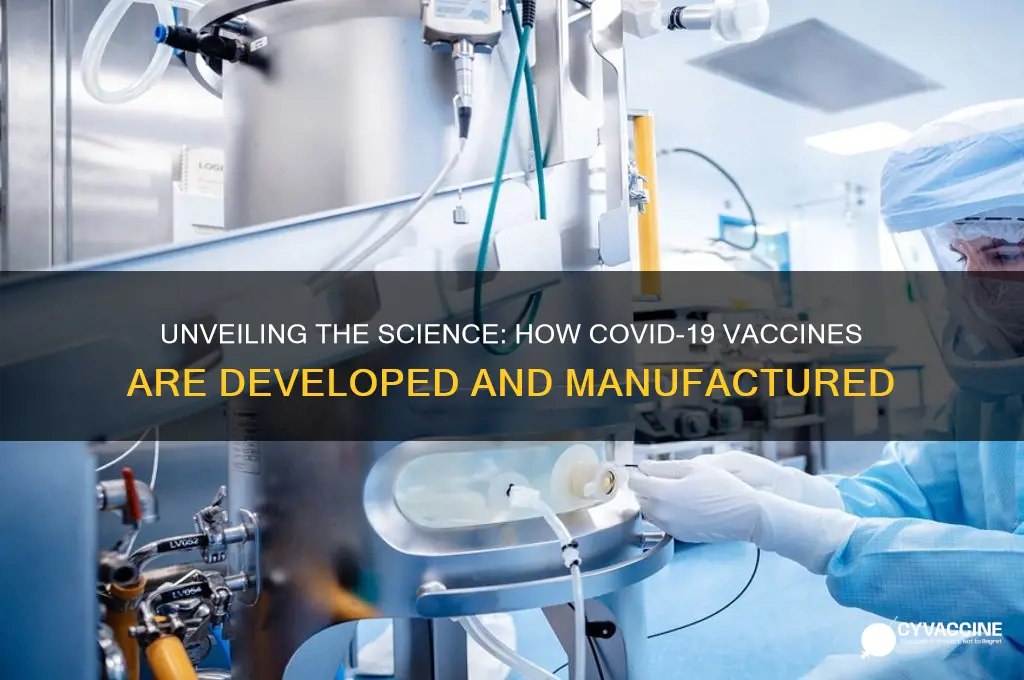 how is the covid19 vaccine made
