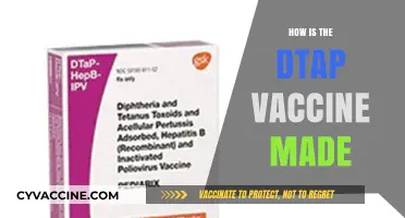 Understanding the DTap Vaccine: Ingredients, Manufacturing Process, and Safety
