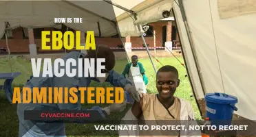 Ebola Vaccine Administration: Methods, Dosage, and Safety Explained