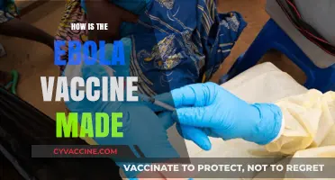 Understanding the Development and Production of the Ebola Vaccine