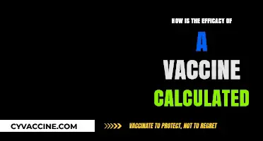 Understanding Vaccine Efficacy: Calculation Methods and Key Factors Explained