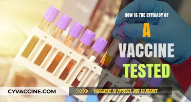 Unveiling Vaccine Efficacy: Rigorous Testing Methods and Clinical Trials